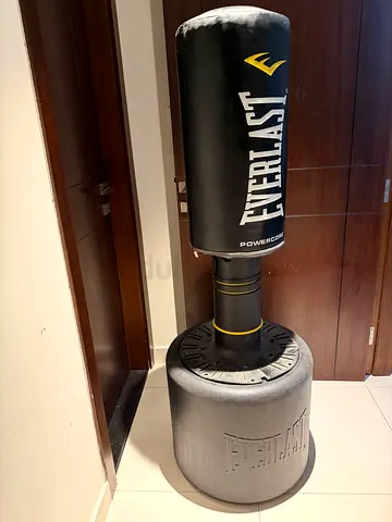 Standing punching bag
