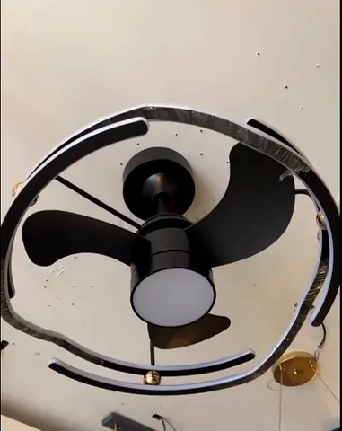 Ceiling fan with integrated light - modern black design