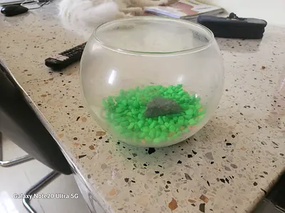 Small round glass fishbowl / decorative bowl