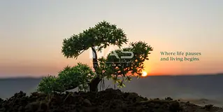 Eco-friendly living | nature-inspired | strong community