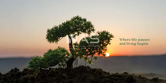 Eco-friendly living | nature-inspired | strong community