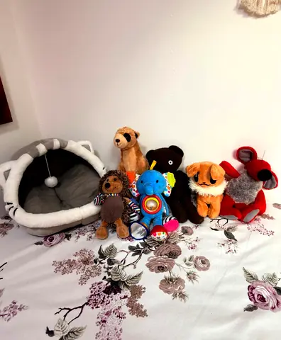 🐱 ULTIMATE CAT BUNDLE – EVERYTHING FOR ONLY 70 AED! 🐱