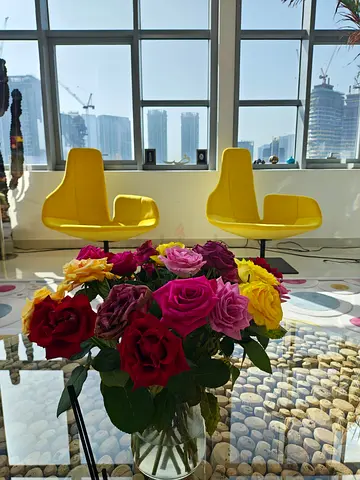 Moroso Fjord Yellow Chair Roche Bobois Ligne Roset Marina Home
