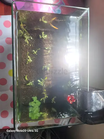 Aquarium tank only