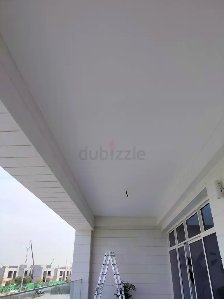 DPV_View_Image_1