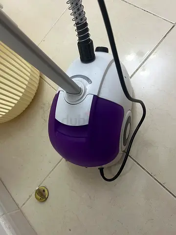Steam Iron