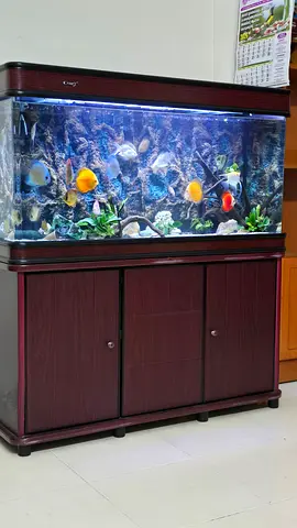 Camry aquarium full set for sale