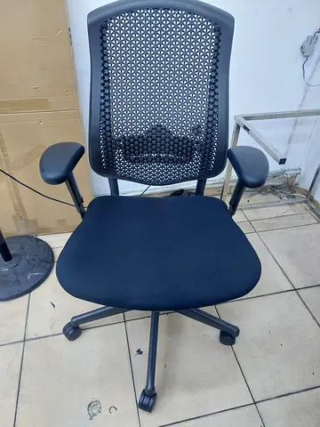 .Celle Herman Miller Fully Adjustable Chair