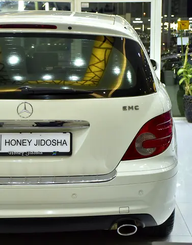 2009 Mercedes-BENZ R-CLASS — миниатюра 9