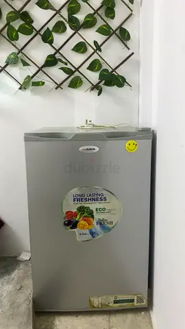 Single door refrigerator small