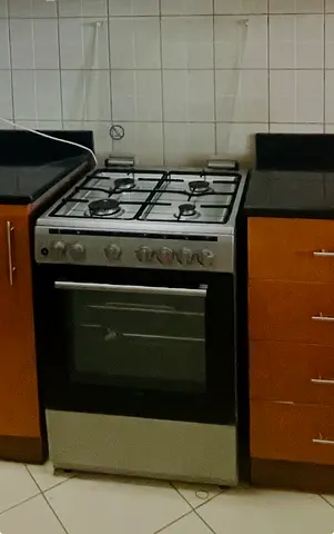 Gas stove