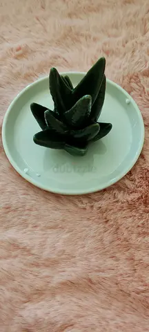 Ceramic Aloe Succulent Decorative Piece (Green) - Small Table Ornament