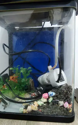Small Fish Aquarium Tank with Filter and Decorations