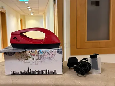 Handheld Steam Iron