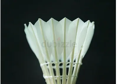 Feather shuttlecock