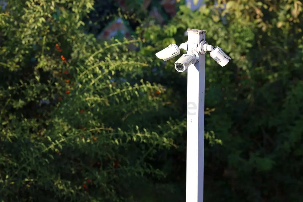 DPV_View_Image_0