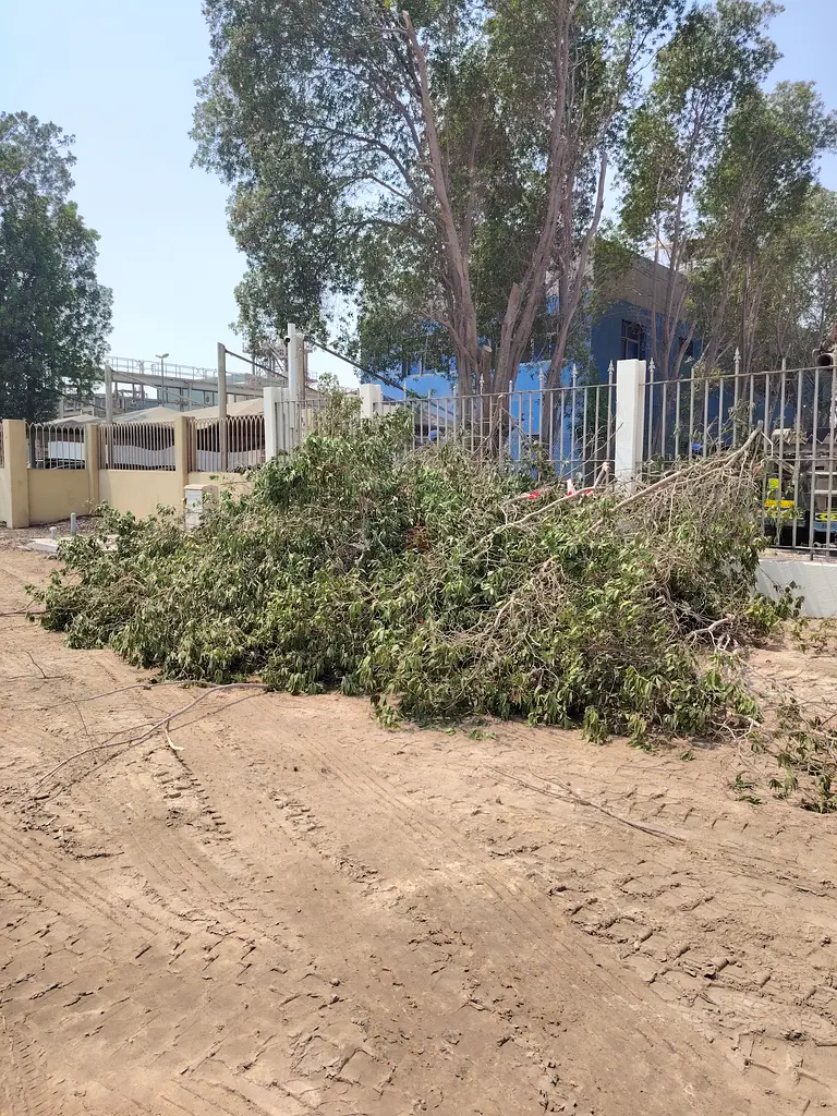 DPV_View_Image_1