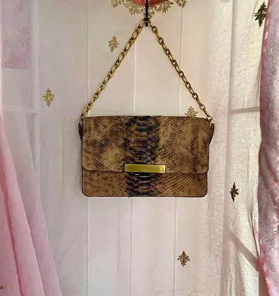 Stylish Snakeskin Bag