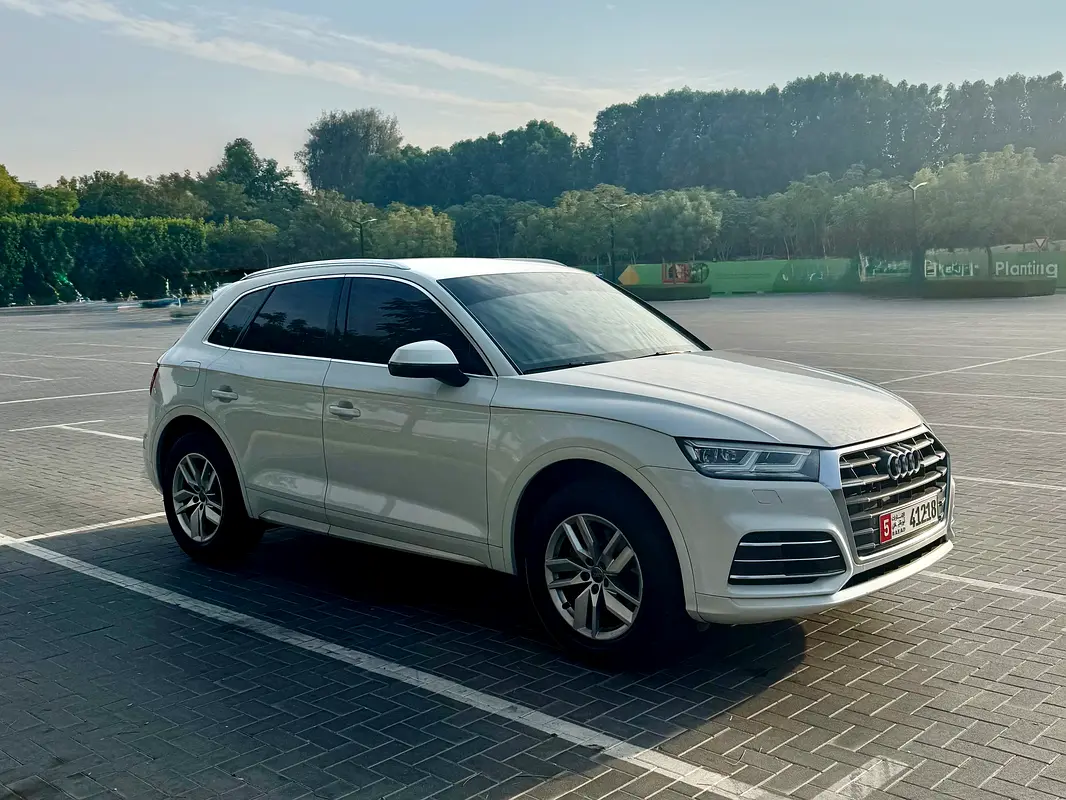 Audi Q5 2019 — photo 1 of 14