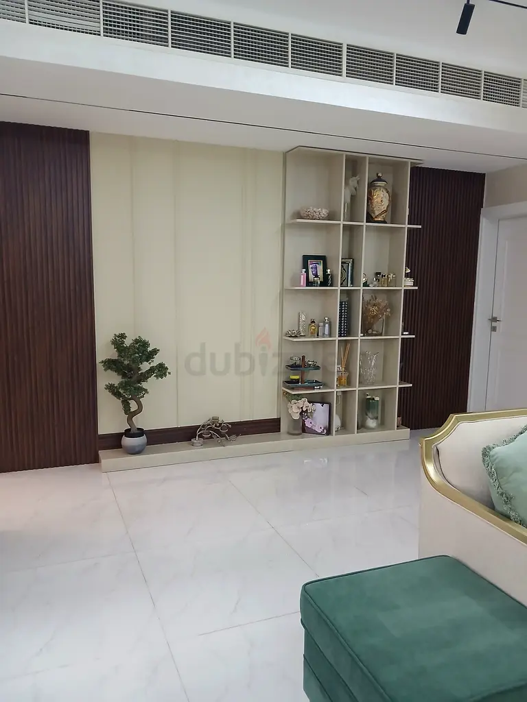DPV_View_Image_4