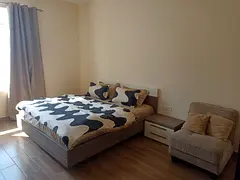 Furnished 1 BHK in Posh and Lavish Area