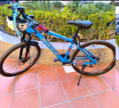 Adult bicycle