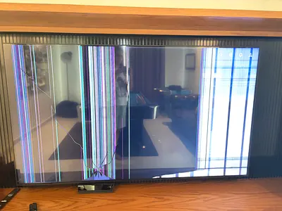 LG 75 inc TV broken