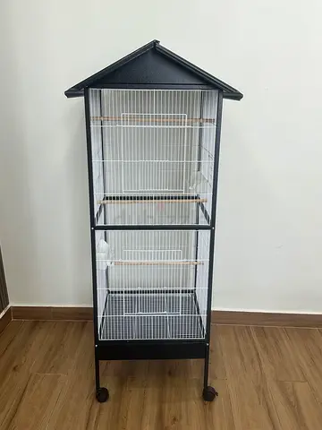 ابوظبي