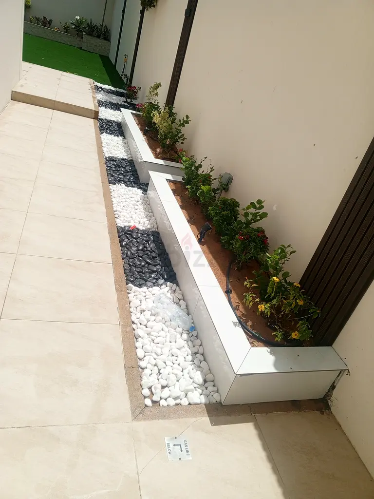 DPV_View_Image_2
