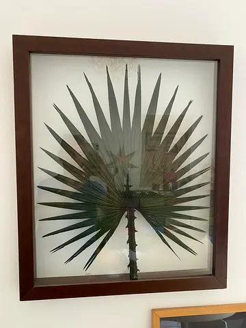 Framed Pressed Palm Leaf Artwork in Dark Wood Frame