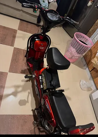 Electric cycle