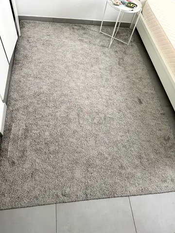 Light Grey Plush Area Rug - Good Condition