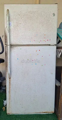 Used Top-Freezer Refrigerator - Needs Cleaning and Repair
