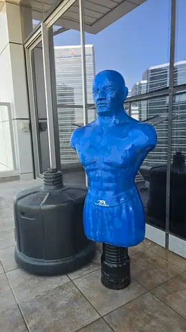 Standing Boxing Dummy / Grappling Mannequin