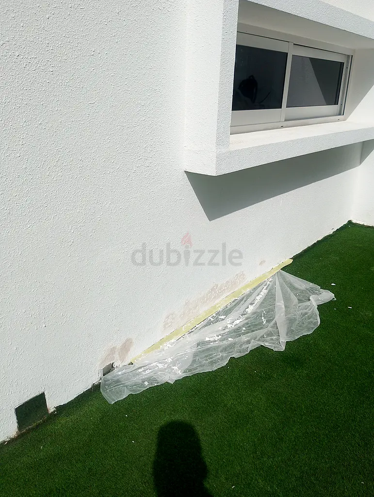 DPV_View_Image_2