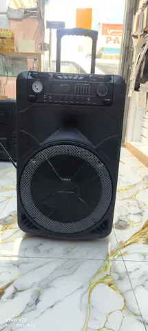 Portable Bluetooth PA Speaker with Trolley Handle — Single Unit