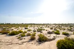 Spacious Plot | Exclusive | Multiple Options