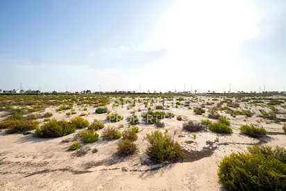 Spacious Plot | Exclusive | Multiple Options