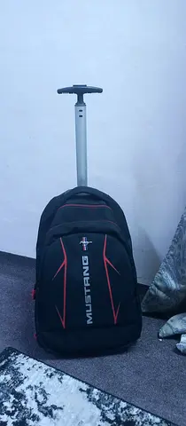 Scholl bag Ford brand