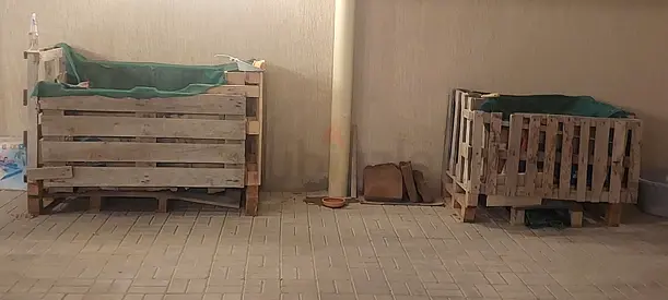 2 XL  Large Eco Raised Palette food beds