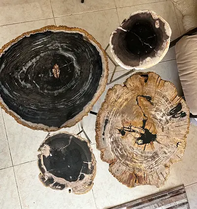 Marina home tables
