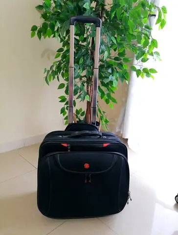 Swiss Luggage Price Is Not Negotiatable No Bargein Pls