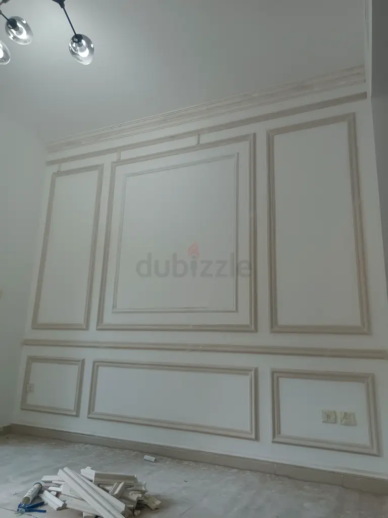 DPV_View_Image_1