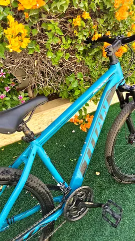 Mogoo bicycle