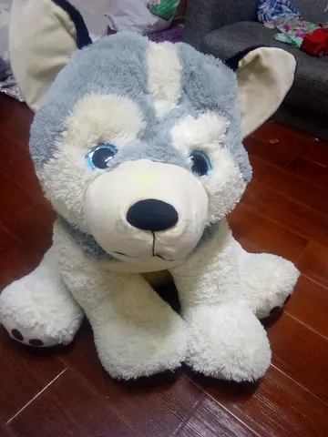 Large Teddy bear