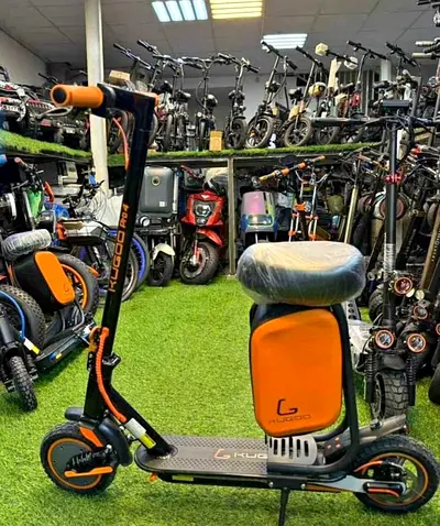 Kugoo Pro 4 Foldable Electric Scooter