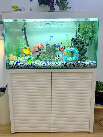 Premium Aquarium Setup 200L with Cabinet + Fluval 407 Filter (Ready to Use)