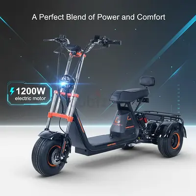 Kugoo C4 Electric Scooter