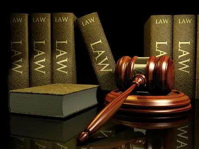 VIP Legal services