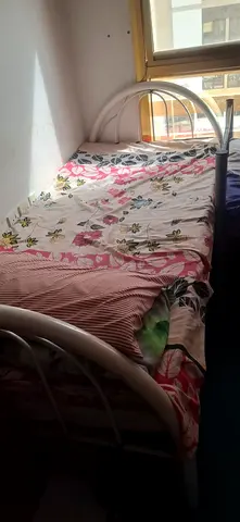 White single metal bed frame with mattress